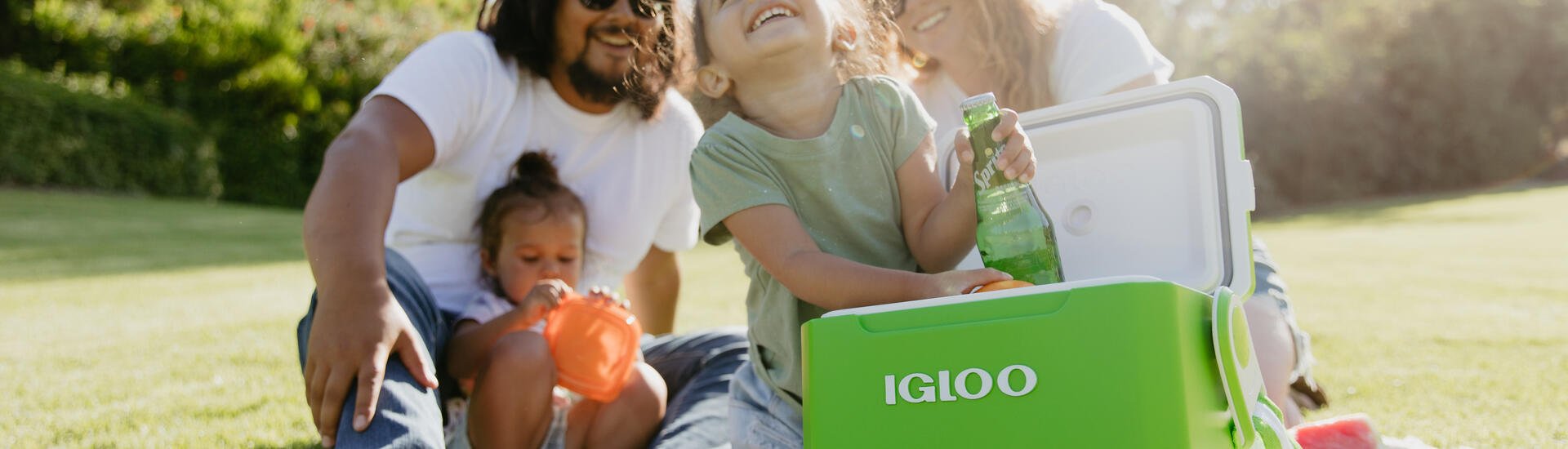 Dometic acquires Igloo with more than USD 400 million in annual revenues - Hero Section - Slide 1